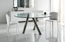 Ray-Обеденный стол от Cattelan Italia 
